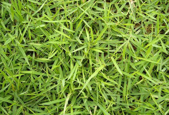 1631859891594290.jpg image.jpg