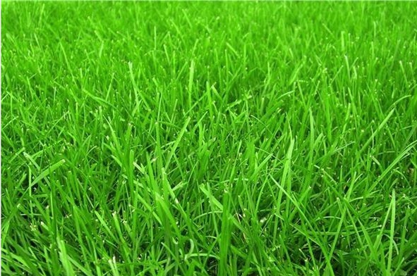 1631859908288156.jpg image.jpg