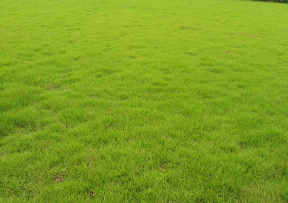 1631859928931663.jpg image.jpg