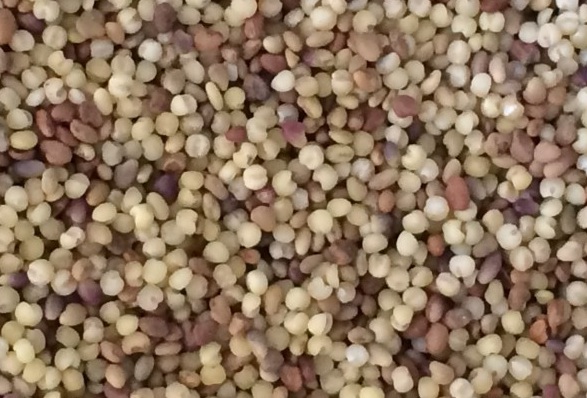 1631860670989040.jpg 1631860670989040.jpg