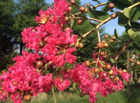 1631865963739435.jpg image.jpg