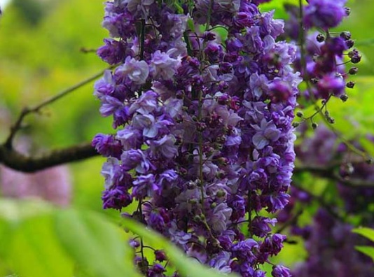 1631866718917171.jpg image.jpg