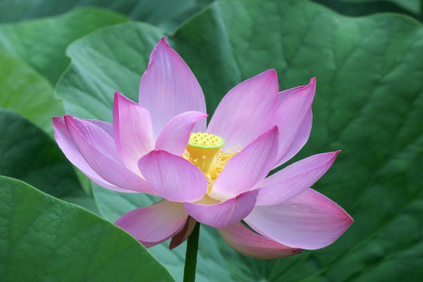 1631884265384538.jpg 1631884265384538.jpg