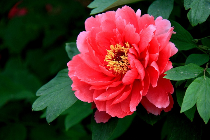 1631885794382287.jpg 1631885794382287.jpg