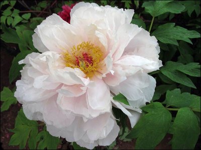 1631885815351742.jpg 1631885815351742.jpg