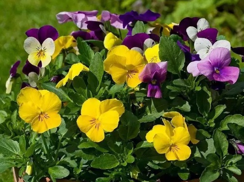 1631888797998914.jpg 1631888797998914.jpg