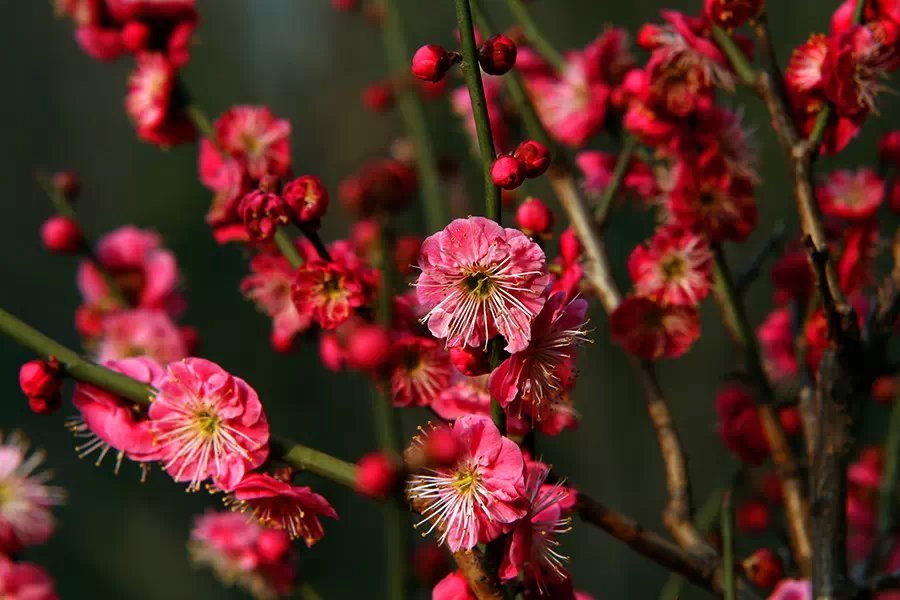 1631968743681313.jpeg 1631968743681313.jpeg