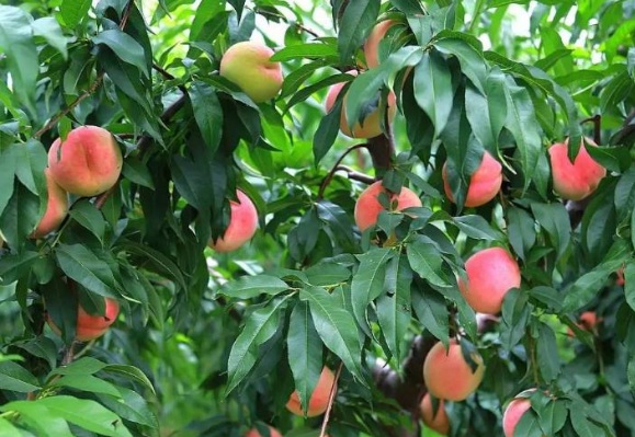 1632265075841366.jpg image.jpg