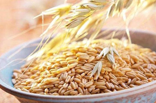 1632266124482679.jpg 1632266124482679.jpg