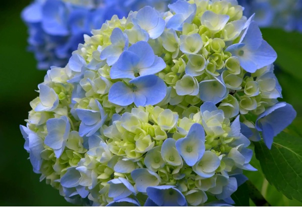 1632270859780970.jpg image.jpg