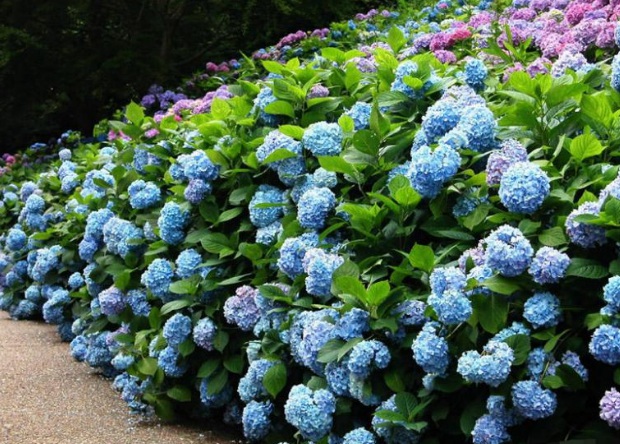 1632271070721949.jpg 1632271070721949.jpg