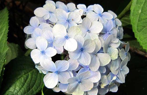 1632271094274739.jpg 1632271094274739.jpg