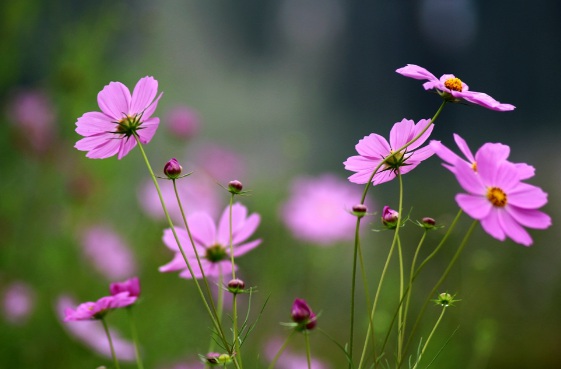 1632272948516652.jpg image.jpg