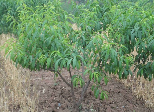 1632273648348797.jpg 1632273648348797.jpg