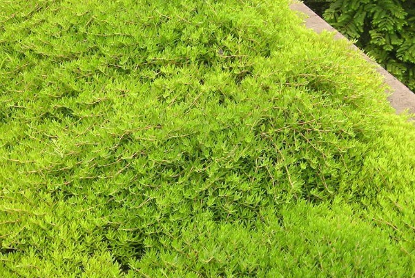 1632274149788947.jpg image.jpg