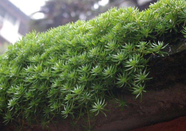 1632274158909547.jpg image.jpg