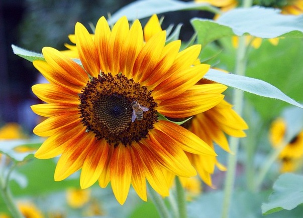 1632274900131128.jpg image.jpg