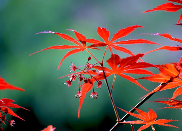 1632278461888150.jpg 1632278461888150.jpg