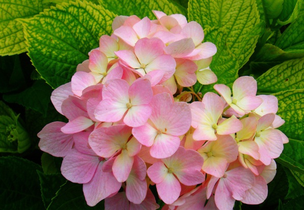 1632278792954212.jpg image.jpg