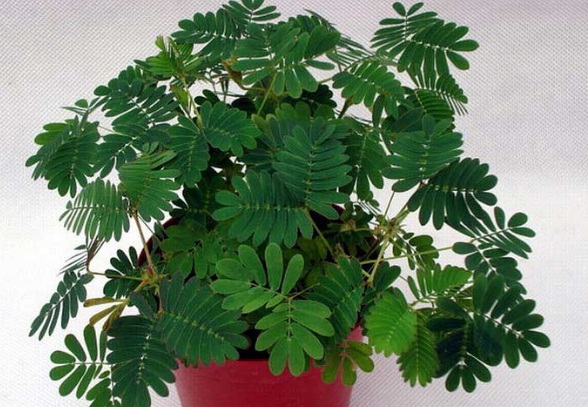 1632278887281005.jpg 1632278887281005.jpg