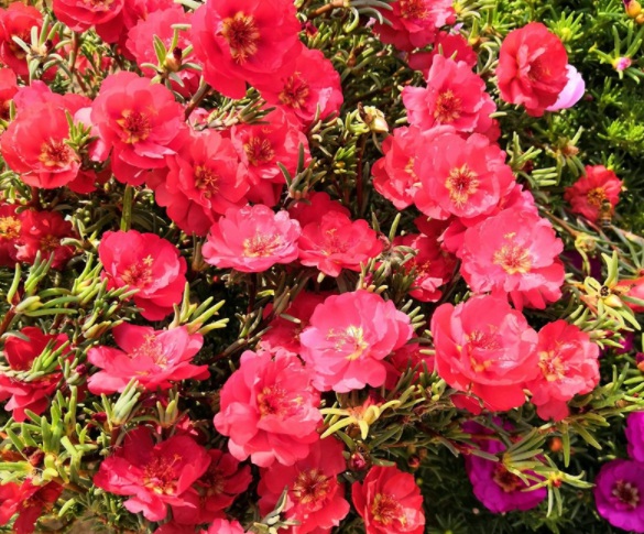 1632286280204015.jpg image.jpg