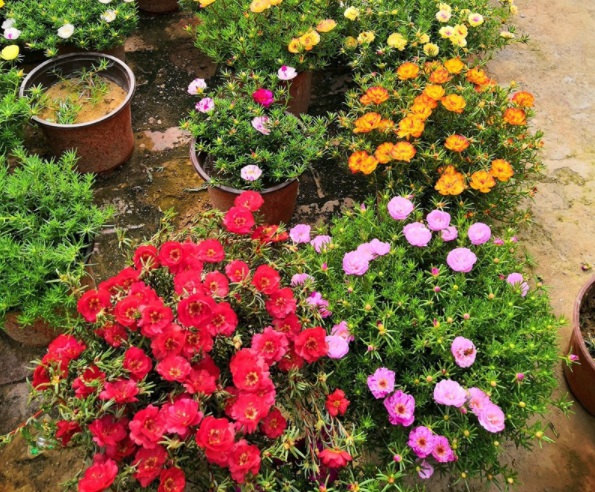 1632286301201146.jpg image.jpg