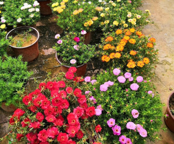 1632286515940727.jpg image.jpg