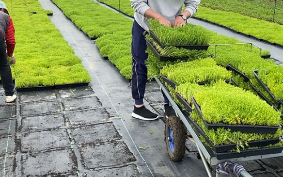 1632287411920310.jpg image.jpg