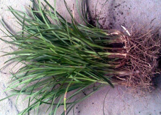 1632288160898022.jpg image.jpg