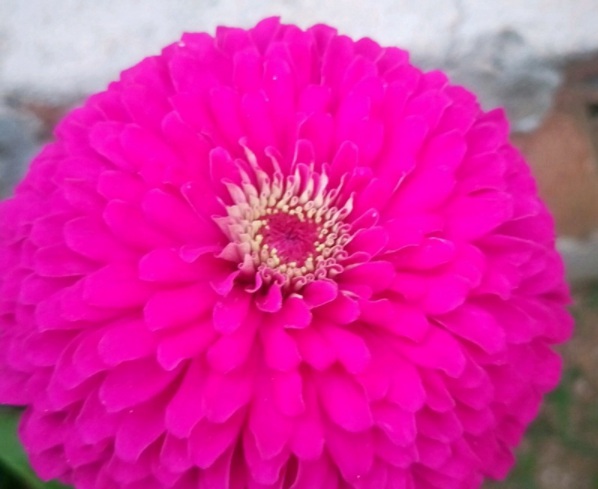 1632288331601884.jpg image.jpg