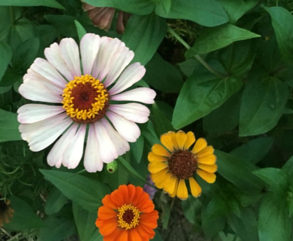 1632288396918293.jpg image.jpg