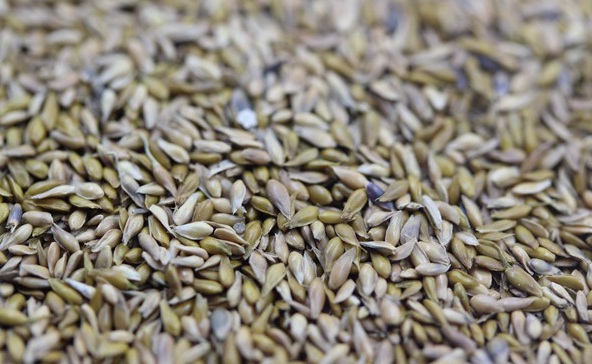 1632289337915586.jpg image.jpg