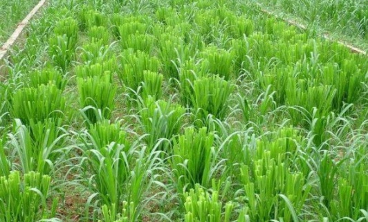 1632289569705947.jpg image.jpg