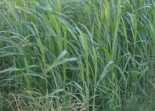 1632289577321053.jpg image.jpg