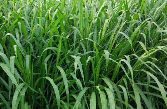 1632289780706268.jpg image.jpg