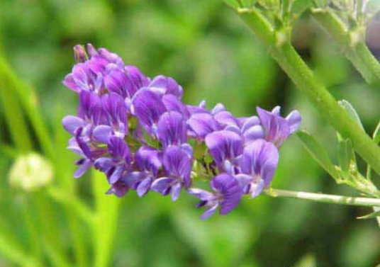 1632290052216953.jpg image.jpg