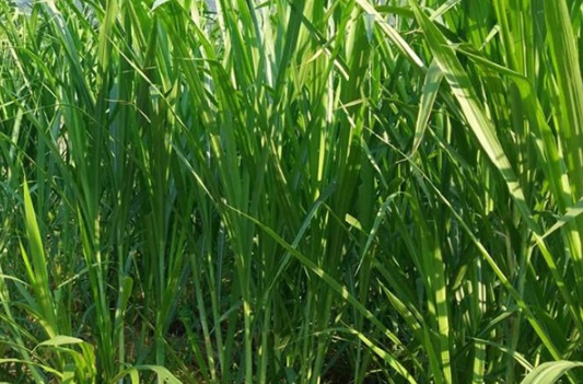 1632290108886820.jpg image.jpg