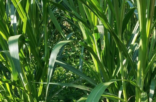 1632290117619330.jpg image.jpg