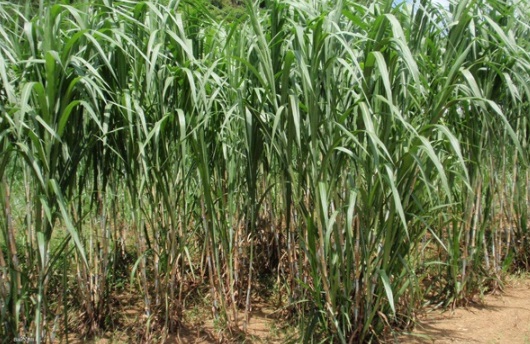 1632290124732519.jpg image.jpg