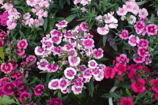 1632290685671794.jpg 1632290685671794.jpg