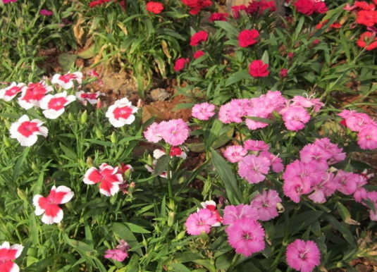 1632290729986012.jpg 1632290729986012.jpg