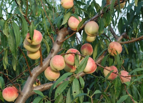 1632291173994543.jpg 1632291173994543.jpg