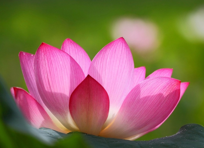 1632294004497603.jpg 1632294004497603.jpg