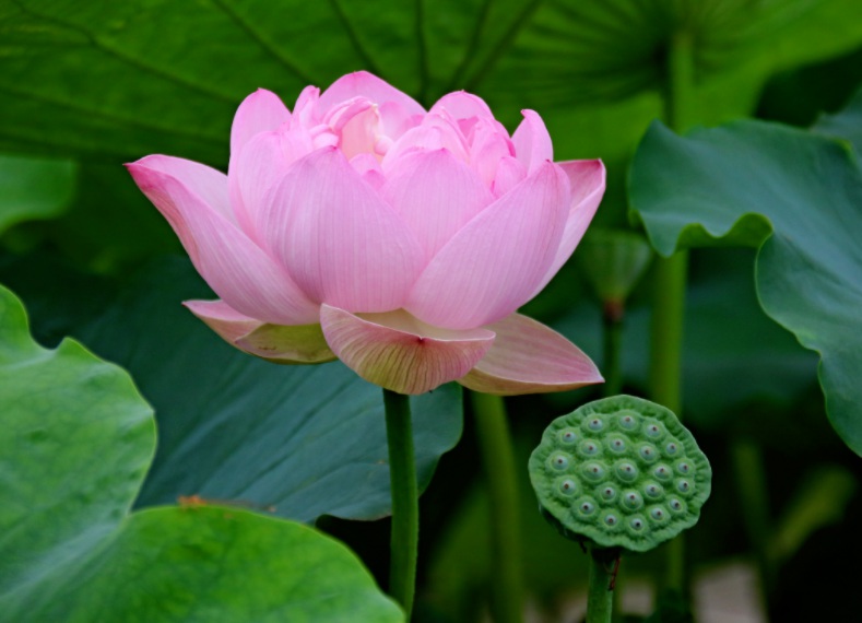 1632294042202821.jpg 1632294042202821.jpg