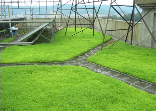 1632294530624703.jpg image.jpg