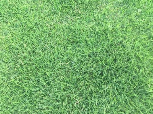 1632294708969837.jpg image.jpg