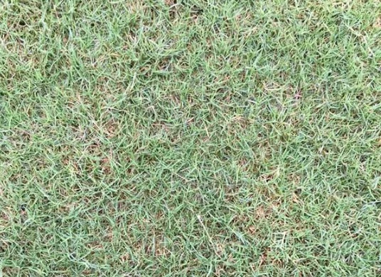 1632294720635470.jpg image.jpg