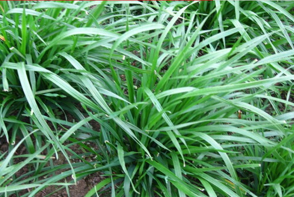 1632294732181994.jpg image.jpg