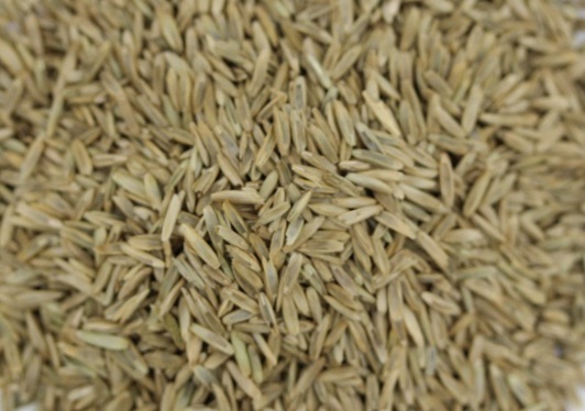 1632364042132807.jpg image.jpg