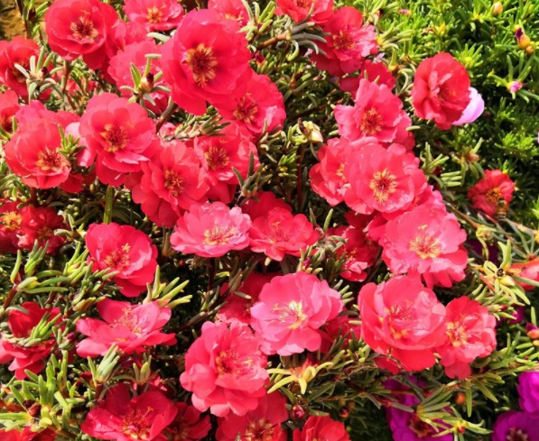 1632364918958672.jpg image.jpg